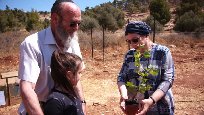 הרב מנחם פליקס