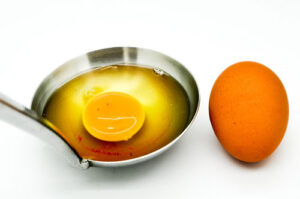 ביצה עם דם