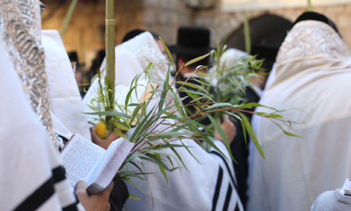 יהודים עם טליתות ו4 מינים