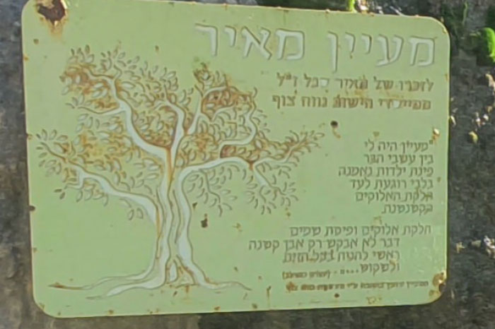 שלט עין מאיר