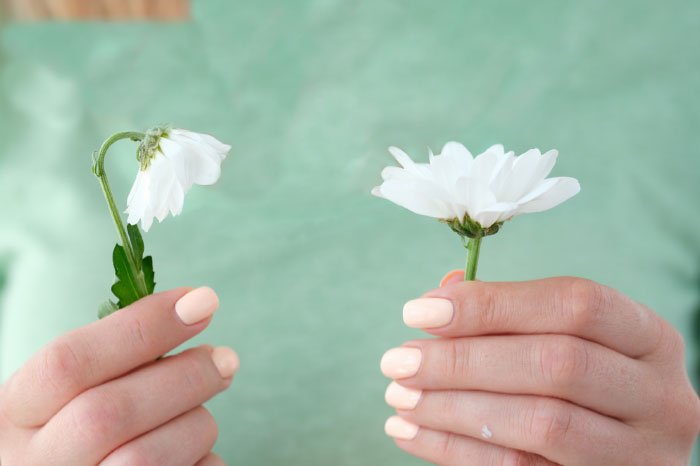 ידיים מחזיקות 2 פרחים