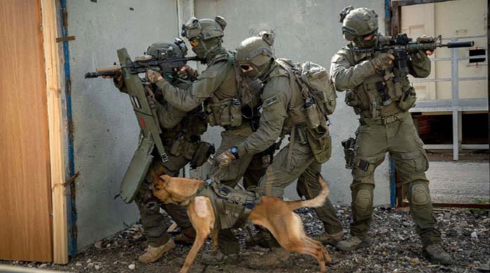 חיילי ימ"ם עם כלב בפעולה