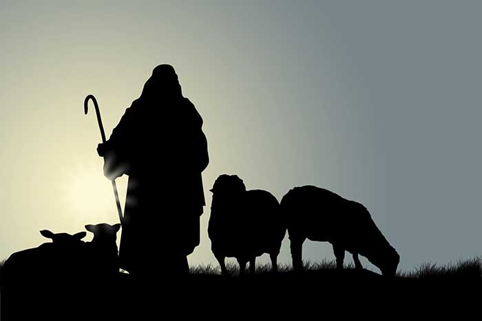 רועה עם כבשים