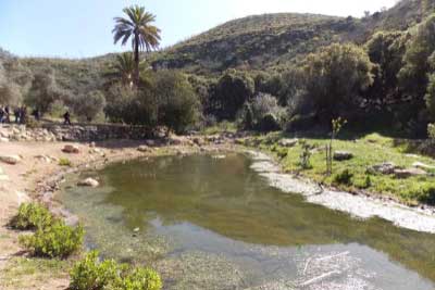 נחל אורן | צילום מרכז סיור ולימוד גליל