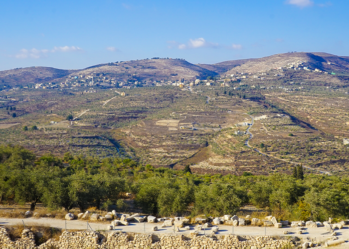 הנכבה היהודית