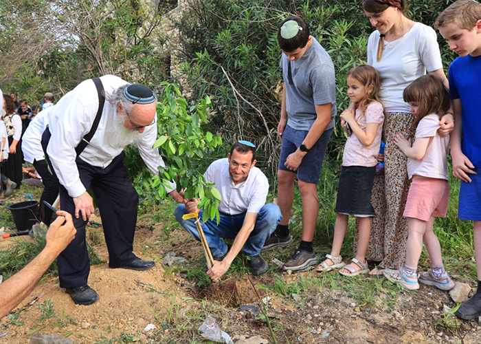 העץ של יוסי דגן, הרב שמואל אליהו ואדיר זיק ז"ל בשא-נור