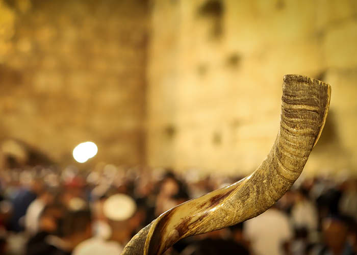 ונקם ישיב לצריו וכיפר אדמתו עמו