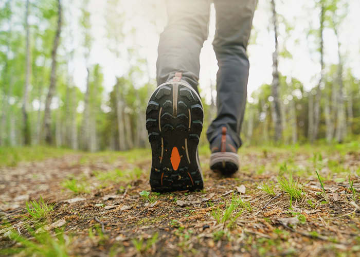 לך לך - עם של הולכים