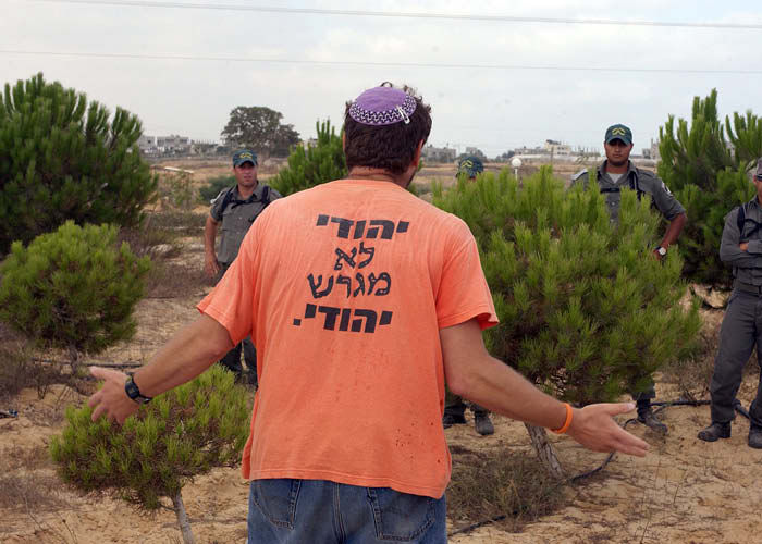 מטות מסעי: נקמה במדין – למה לא לקרוא לשלום?